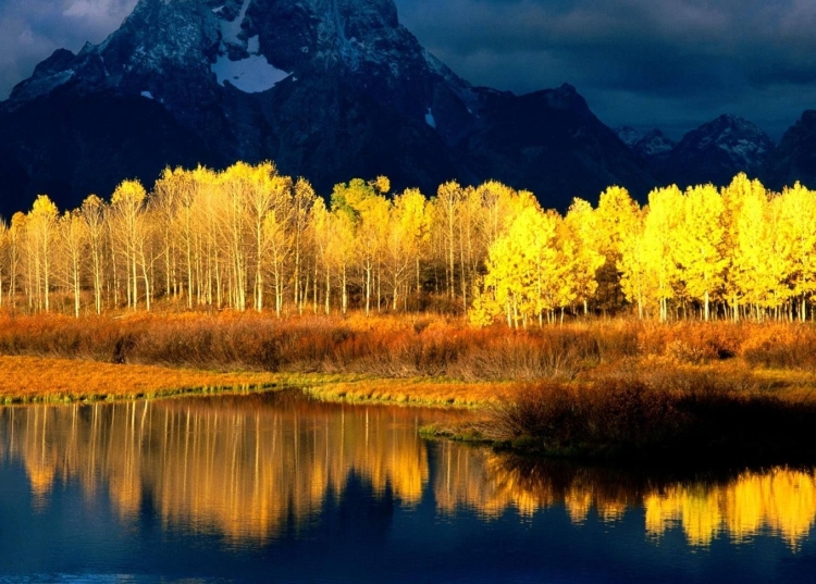 Палитра синий желтый