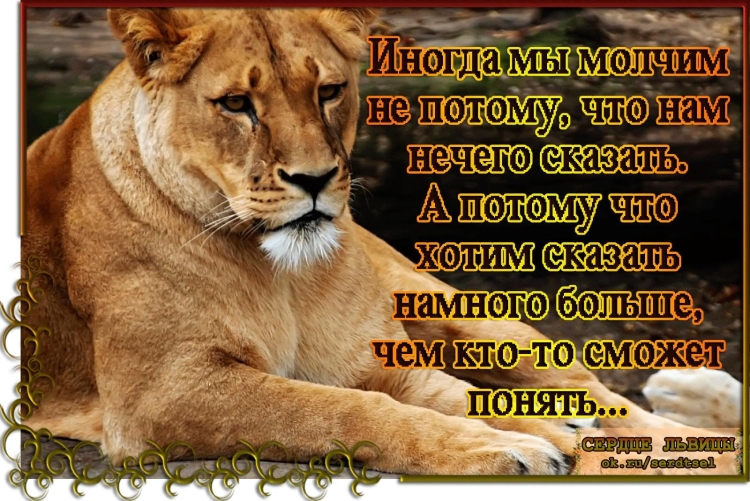 Афоризмы про Львов