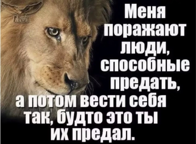 Если человек тебя предал