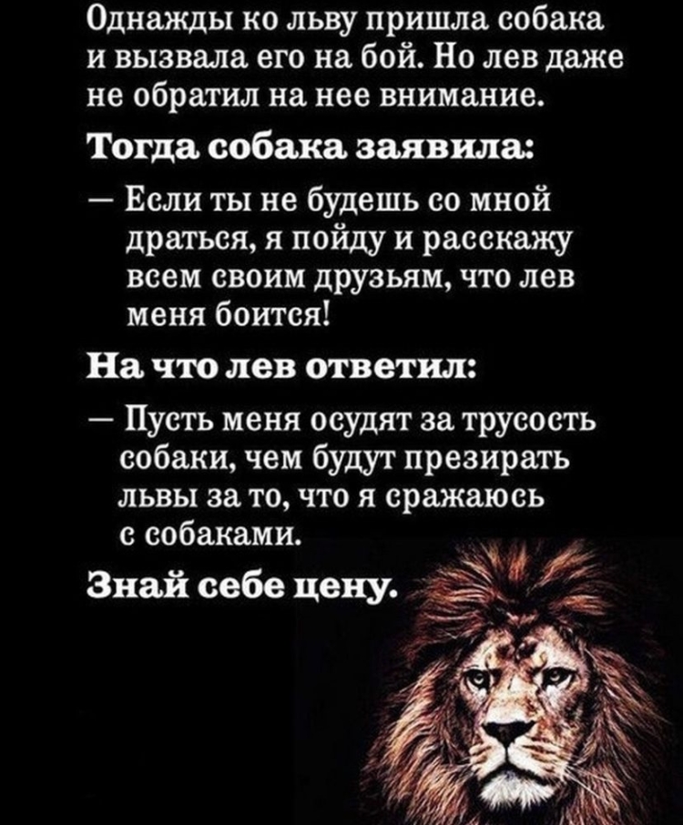 Афоризмы про Львов