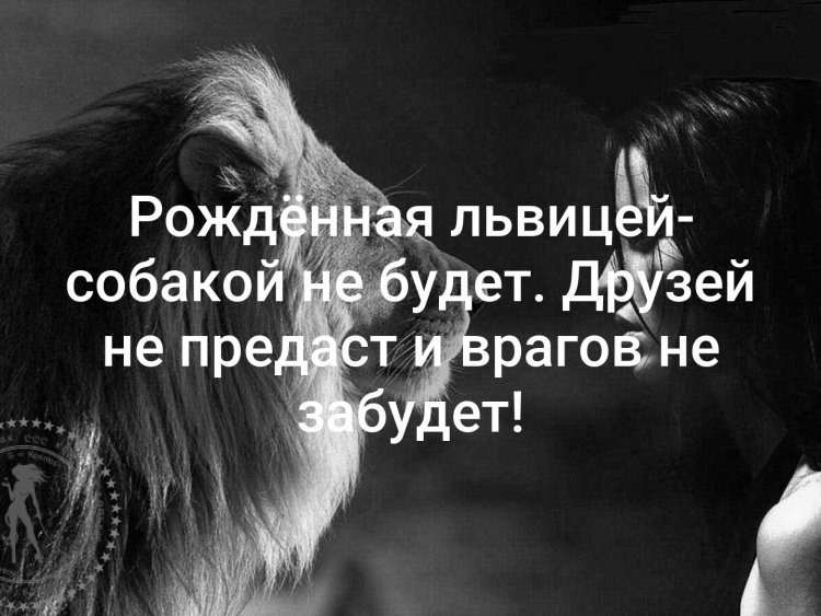 Статусы про львицу