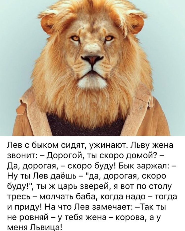 У Льва жена львица
