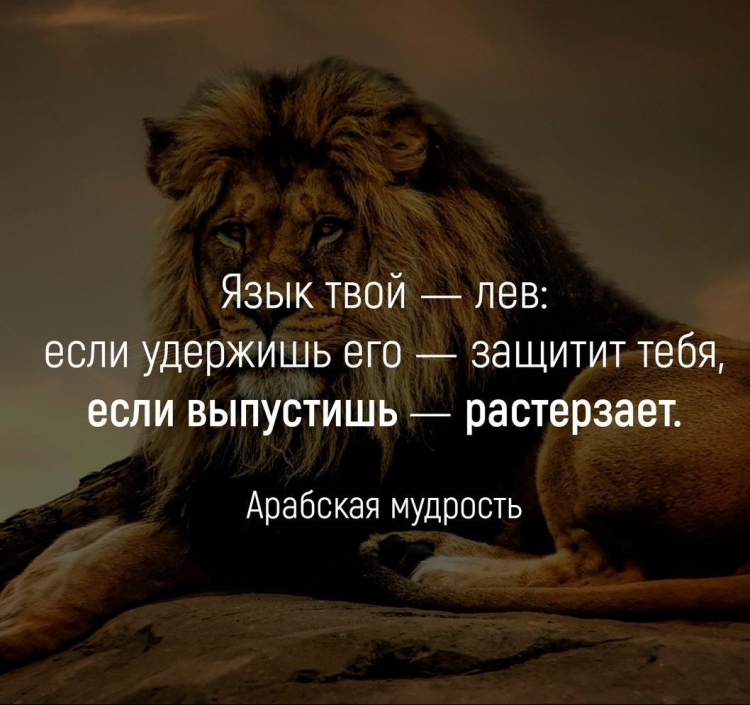 Статусы со львами