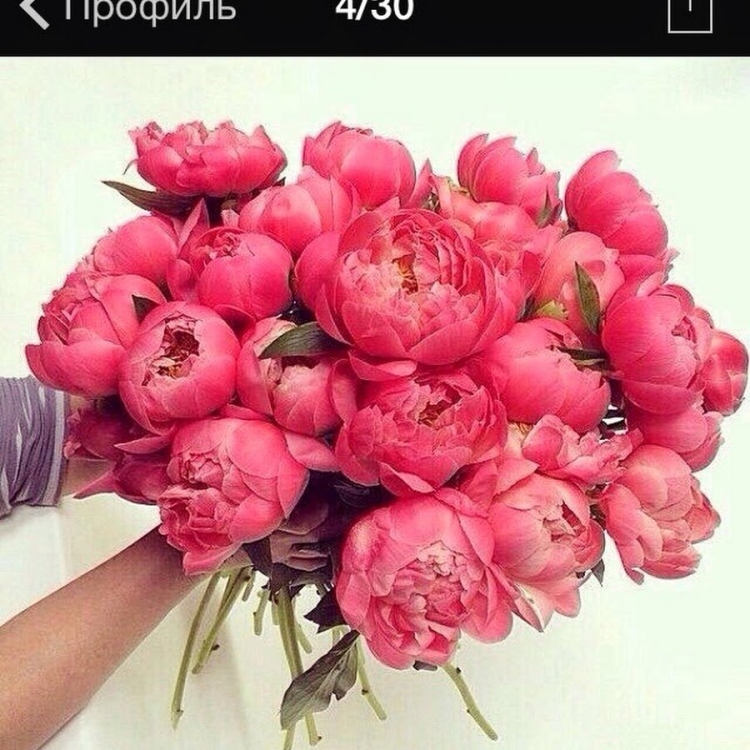 Цветок "пион"