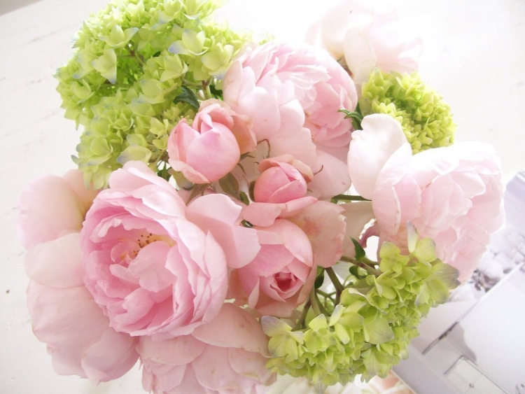 Открытки с днем рождения цветы пионы