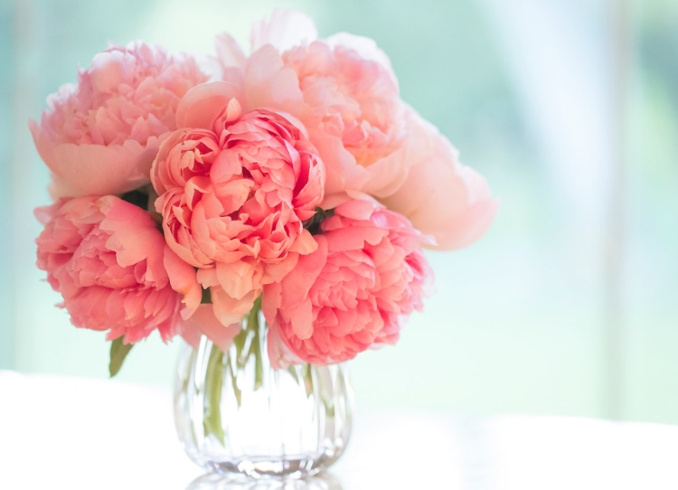 Открытка «пион»