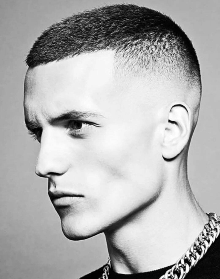 Полубокс Цезарь стрижка