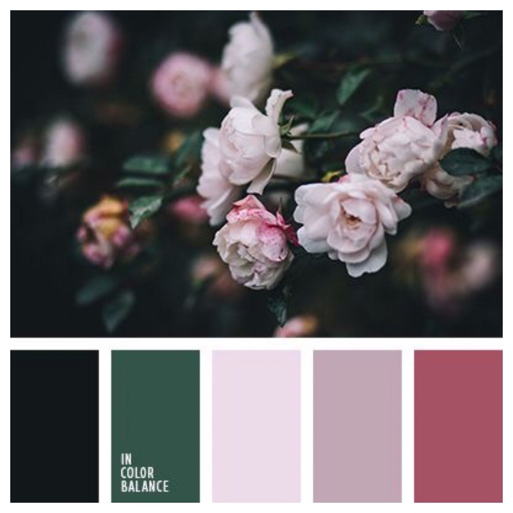 Розовый и черный сочетание палитра
