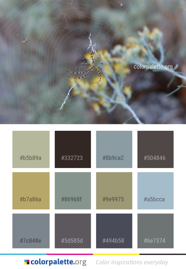 Сочетание цветов в интерьере Полынь