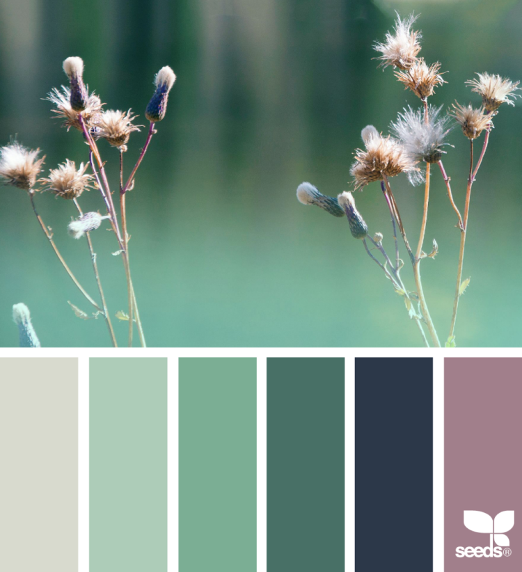Seeds Color Palette изумрудный