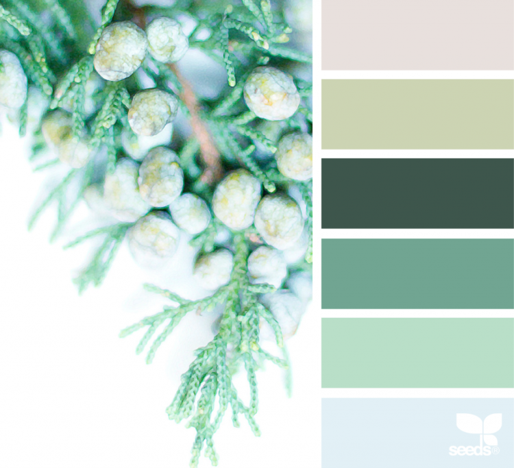 Цвет Полынь сочетание