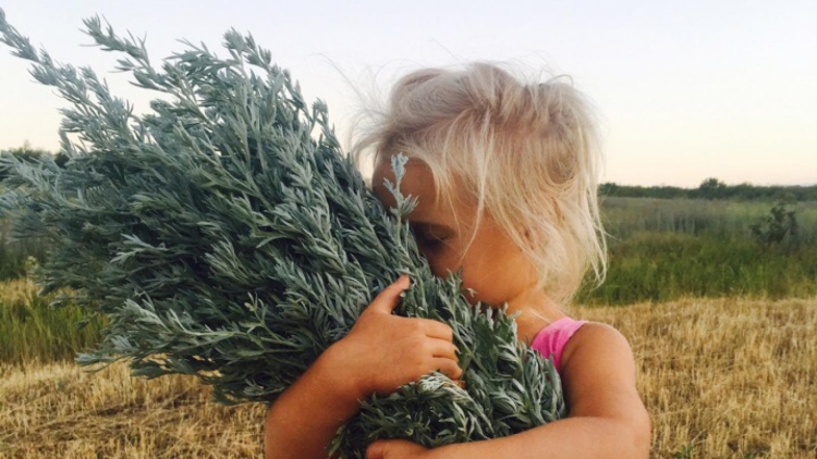 Полынь для женщин