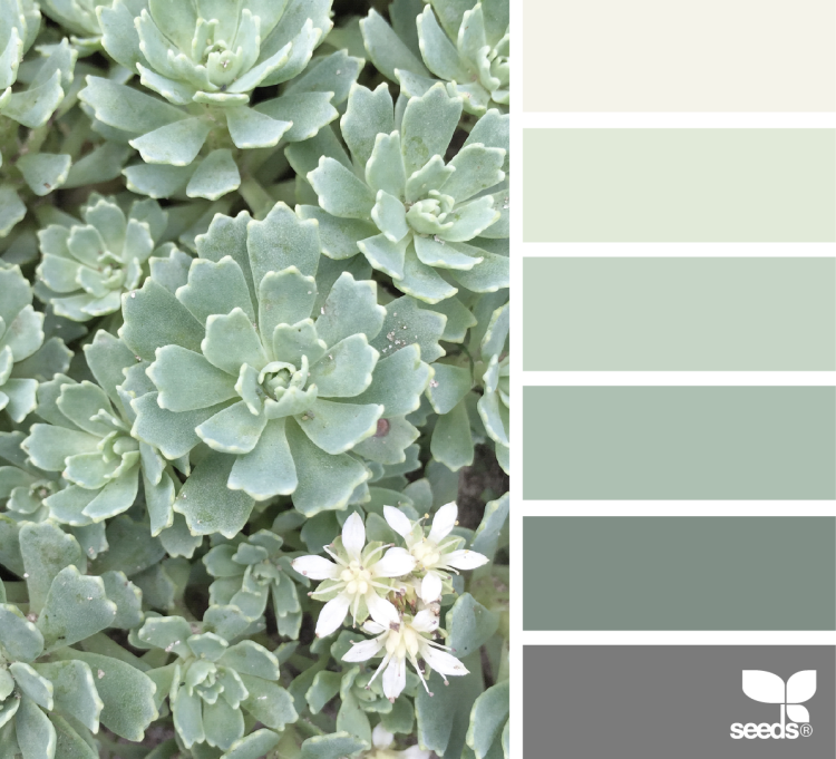 Зелено серый цвет