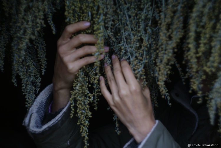 Горькая Полынь Эстетика