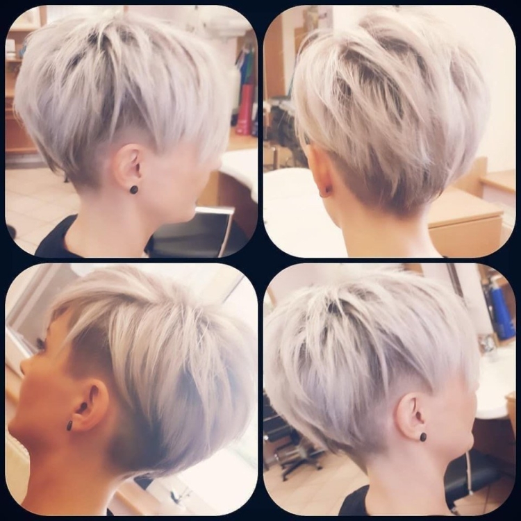 Стрижка Пикси Боб сзади