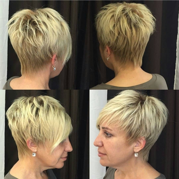 Стрижка Пикси Боб сзади