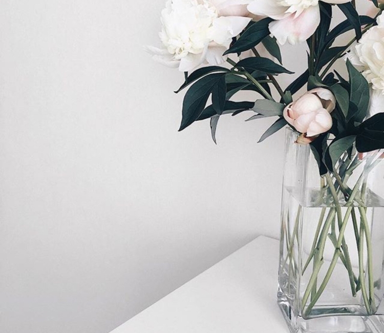 Пионы в вазе Минимализм