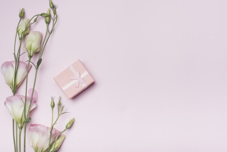 Цветы Минимализм