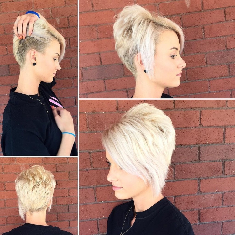 Пикси Боб асимметрия затылок