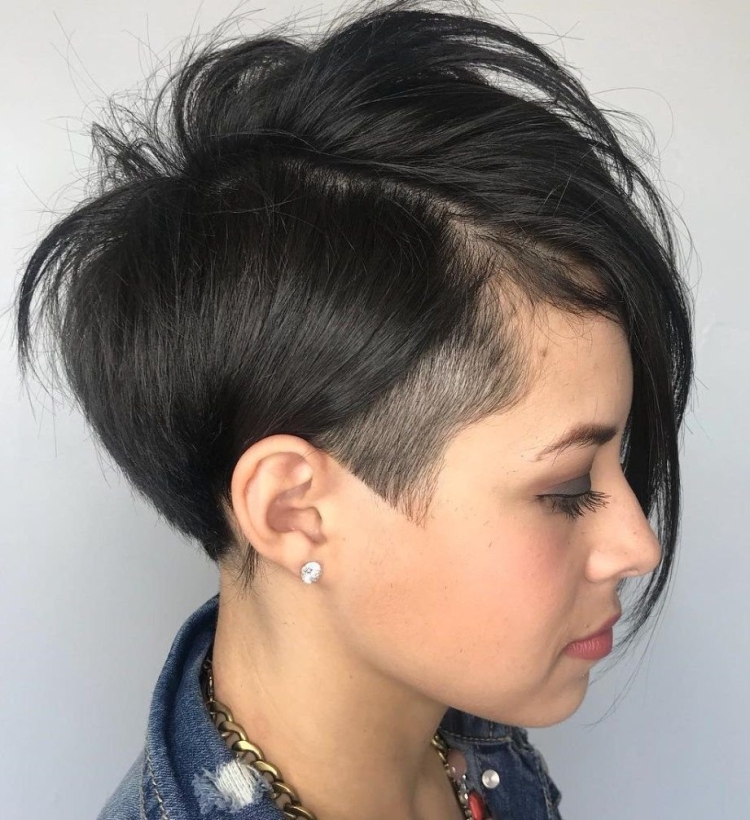 Пикси Боб бритый висок