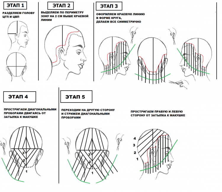 Схема выполнения стрижки сессун