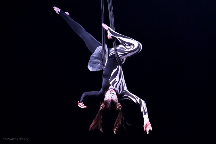 Рекламный плакат дизайн воздушная гимнастика