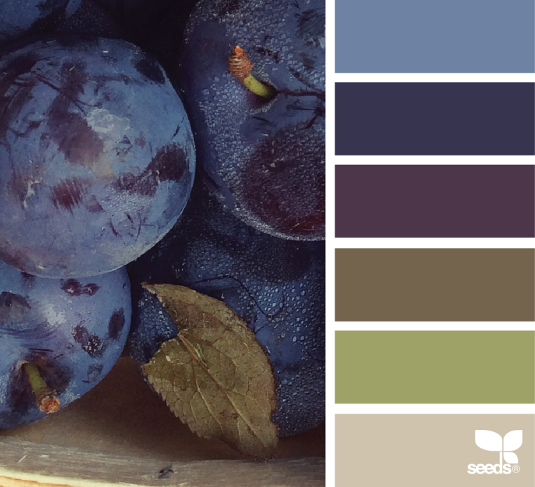 Палитры Сидс слива