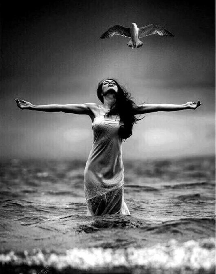 Девушка отпускает птицу