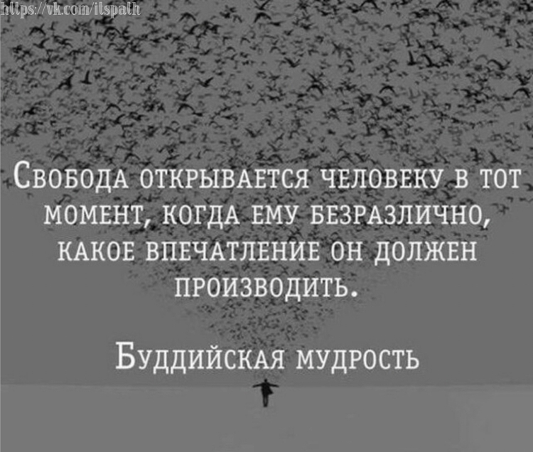 Свобода цитаты