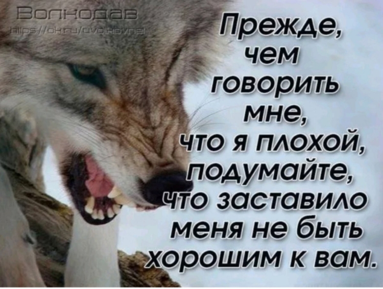 Я плохая цитаты