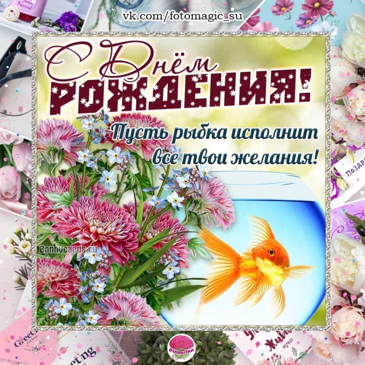24 Июня день ромашек открытка с поздравлением